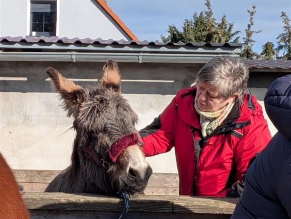 Pferdeseminar Annett Kirsch Bild 1 BDV - Veteranenverband Pferdeseminar Annett Kirsch Bild 1 1 e1772448138856